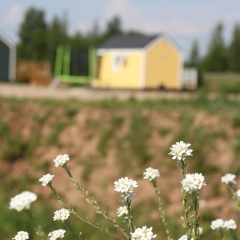 Кемпинг  Лисья Гора, Новгородский район, Новгородская область