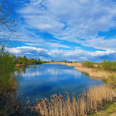 Кемпинг  Лисья Гора, Новгородский район, Новгородская область