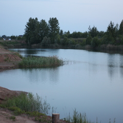 Кемпинг  Лисья Гора, Новгородский район, Новгородская область