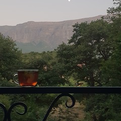 Эко-отель Дубовая роща, Республика Дагестан