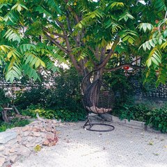 Гостевой дом  Орешек, Республика Алтай