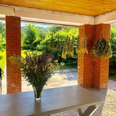 Гостевой дом  Орешек, Республика Алтай