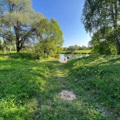 Глэмпинг Пятый Элемент, Истринский район, Московская область