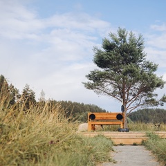 Глэмпинг Radostland, Лахденпохья, Республика Карелия