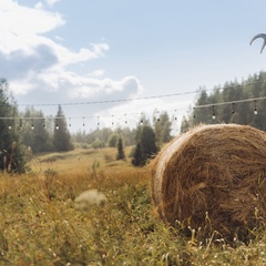 Глэмпинг Radostland, Лахденпохья, Республика Карелия