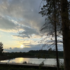 Глэмпинг Заповедник, Рузский район, Московская область