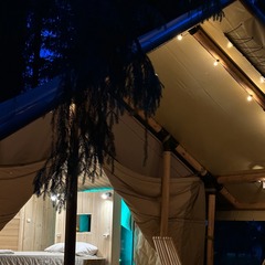 Глэмпинг Заповедник, Рузский район, Московская область