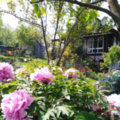 Загородный дом Каньон Псахо, Краснодарский край