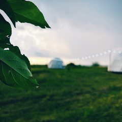 Глэмпинг Космосфера, Ретлё, Новгородская область