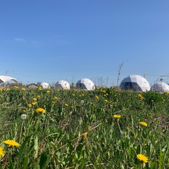 Глэмпинг Космосфера, Ретлё, Новгородская область