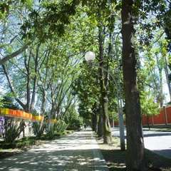 Отель Travel Hotels Берег, Сочи, Краснодарский край