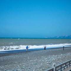 Отель Travel Hotels Берег, Сочи, Краснодарский край