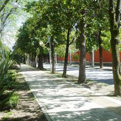 Отель Travel Hotels Берег, Сочи, Краснодарский край