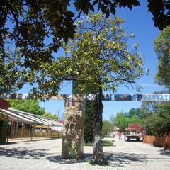 Отель Travel Hotels Берег, Сочи, Краснодарский край