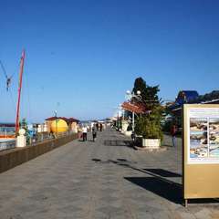 Отель Travel Hotels Берег, Сочи, Краснодарский край