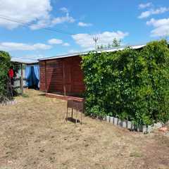 База отдыха Солнечная, Светлое, Алтайский край