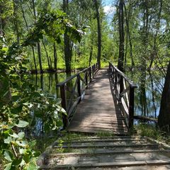 База отдыха Жемчужина, Илекский район, Оренбургская область