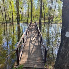 База отдыха Жемчужина, Илекский район, Оренбургская область