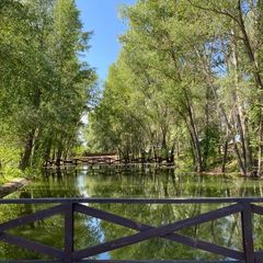 База отдыха Жемчужина, Илекский район, Оренбургская область