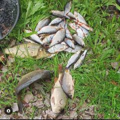 База отдыха Жемчужина, Илекский район, Оренбургская область