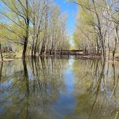 База отдыха Жемчужина, Илекский район, Оренбургская область