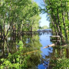 База отдыха Жемчужина, Илекский район, Оренбургская область