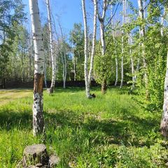 База отдыха Жемчужина, Илекский район, Оренбургская область