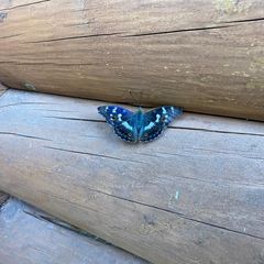 База отдыха Жемчужина, Илекский район, Оренбургская область