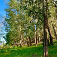 База отдыха Жемчужина, Илекский район, Оренбургская область