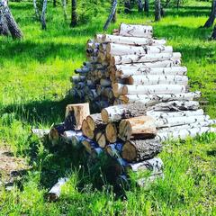 База отдыха Жемчужина, Илекский район, Оренбургская область