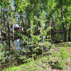 База отдыха Жемчужина, Илекский район, Оренбургская область