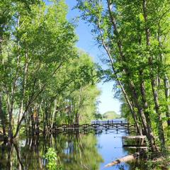 База отдыха Жемчужина, Илекский район, Оренбургская область
