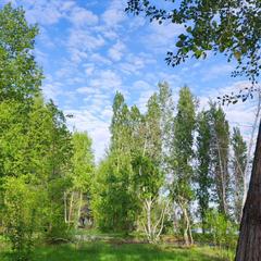 База отдыха Жемчужина, Илекский район, Оренбургская область