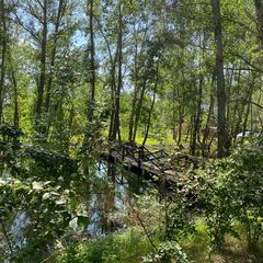 База отдыха Жемчужина, Илекский район, Оренбургская область