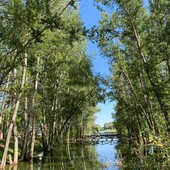 База отдыха Жемчужина, Илекский район, Оренбургская область