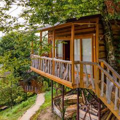 База отдыха Сергиев Двор, Сочи, Краснодарский край