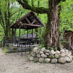 Гостевой дом Псахо, Галицино, Краснодарский край