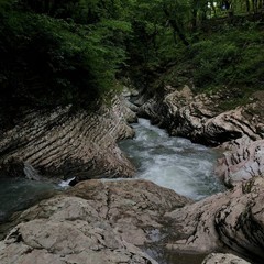 Гостевой дом Псахо, Галицино, Краснодарский край