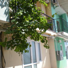 Гостевой дом Эллинг Кокос, Ялта, Крым