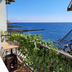 Гостевой дом Эллинг Кокос, Ялта, Крым