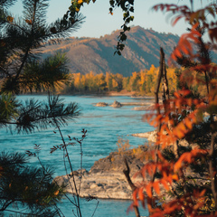 Глэмпинг Golden time, Манжерок, Республика Алтай