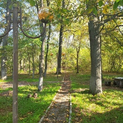 База отдыха Дом Барсука, Саратовская область