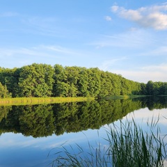 База отдыха Дом Барсука, Саратовская область