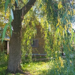 База отдыха Дом Барсука, Саратовская область