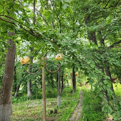 База отдыха Дом Барсука, Саратовская область
