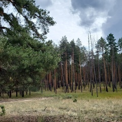 База отдыха Дом Барсука, Саратовская область