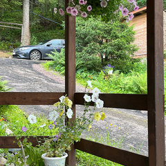 Дом у Пестрого залива, Республика Карелия