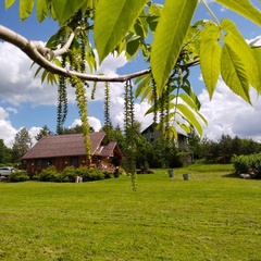 Центр отдыха Усадьба Ястребино, Волосовский район, Ленинградская область