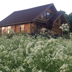 Центр отдыха Усадьба Ястребино, Волосовский район, Ленинградская область