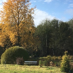 Центр отдыха Усадьба Ястребино, Волосовский район, Ленинградская область